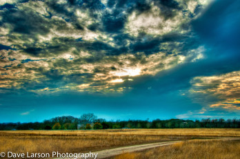 Картинка природа дороги поле