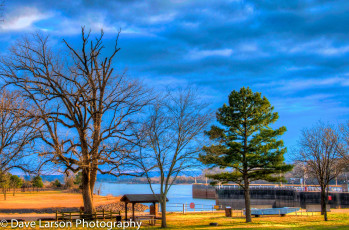 Картинка природа деревья небо