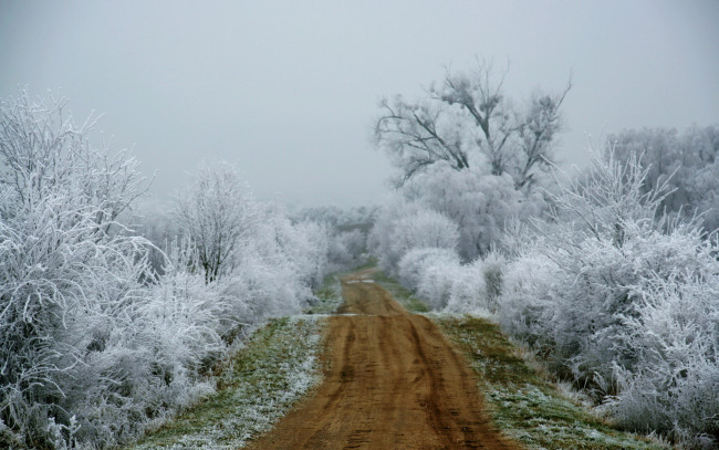 Обои картинки фото природа, дороги, кусты, дорога, иней