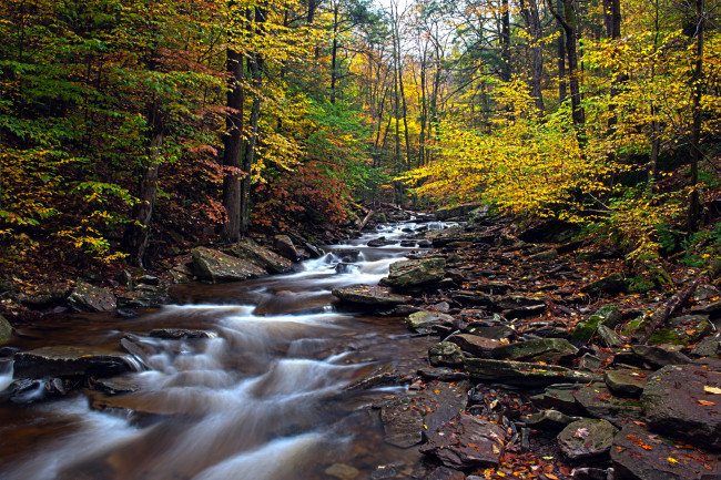 Обои картинки фото природа, реки, озера, pennsylvania, ricketts, glen, state, park