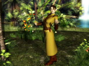 Картинка 3д графика elves эльфы природа лес эльфийка