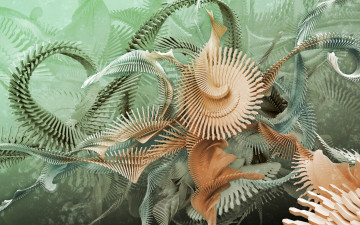 Картинка 3д графика fractal фракталы спираль