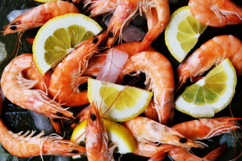 Картинка еда рыба +морепродукты +суши +роллы креветки лимон