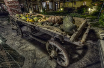 Картинка еда тыква урожай телега ночь двор