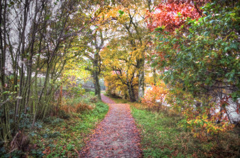 Картинка природа дороги тропинка лес осень