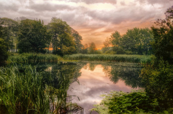 Картинка природа реки озера лес озеро трава облака