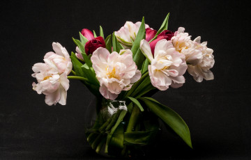 Картинка цветы тюльпаны букет
