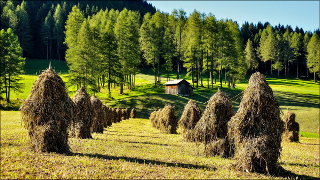 Обои картинки фото природа, пейзажи, лес, луг, стога