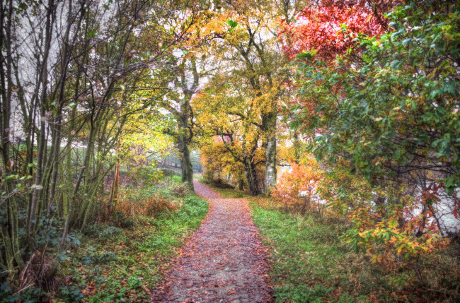 Обои картинки фото природа, дороги, тропинка, лес, осень