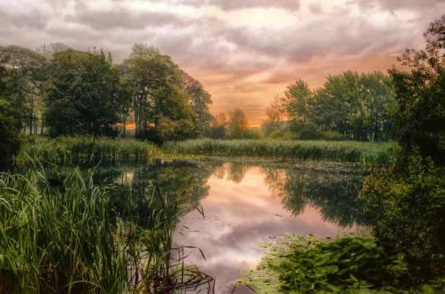 Обои картинки фото природа, реки, озера, лес, озеро, трава, облака