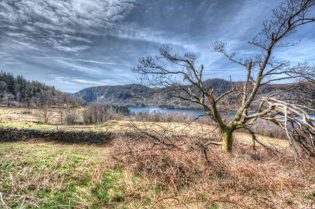 Обои картинки фото природа, пейзажи, тучи, дерево, трава, поле, лес, горы