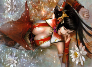 Картинка видео+игры dynasty+warriors девушка