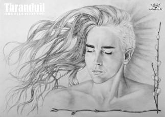 Картинка фэнтези эльфы эльф лицо трандуил