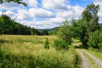 Картинка природа дороги тракт