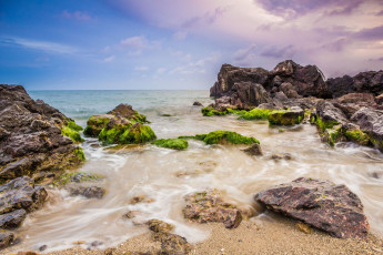 Картинка природа побережье берег море