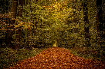 Картинка природа дороги тракт