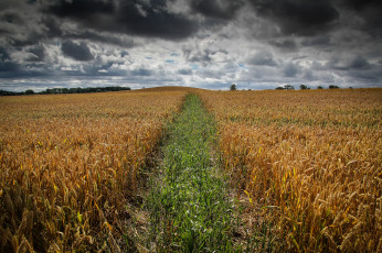 Картинка природа дороги тракт