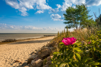 Картинка природа побережье берег море