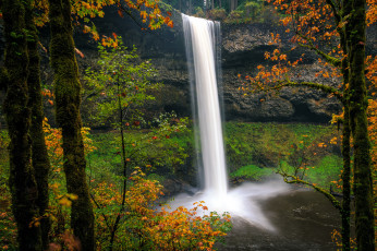 Картинка природа водопады водопад река лес