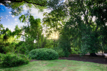 Картинка природа восходы закаты рассвет