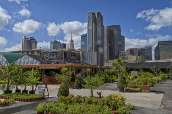 Картинка ruibal`s+plants+of+texas города -+панорамы небоскребы