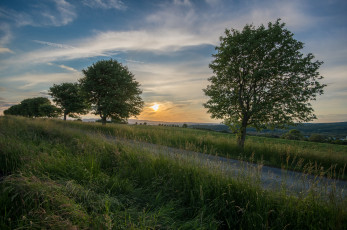 Картинка природа дороги тракт