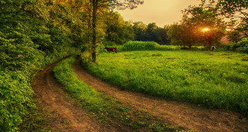 Картинка природа дороги тракт