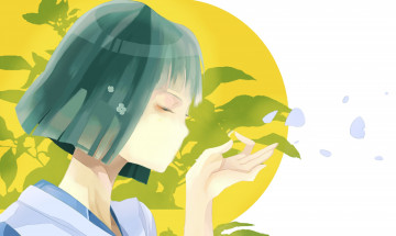 Картинка аниме spirited+away хаку