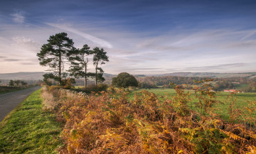 Картинка природа дороги тракт