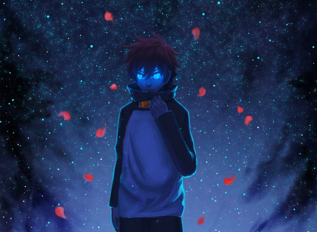 Обои картинки фото аниме, kekkai sensen, парень, арт, kekkai, sensen, hikari, wen, leonardo, watch, звезды, небо, лепестки, ночь