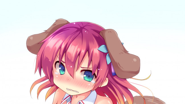 Обои картинки фото аниме, no game no life, фон, взгляд, девушка