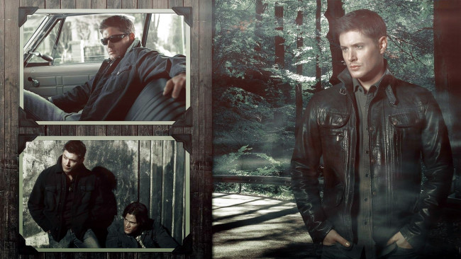 Обои картинки фото кино фильмы, supernatural, padalecki, jared, jensen, ackles