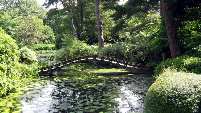 Обои картинки фото природа, парк, мостик, водоем