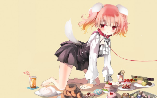 Обои картинки фото аниме, inu x boku ss, девочка