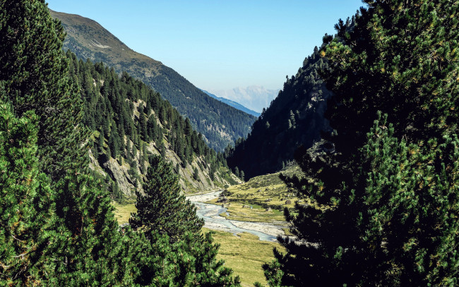 Обои картинки фото природа, горы, лес