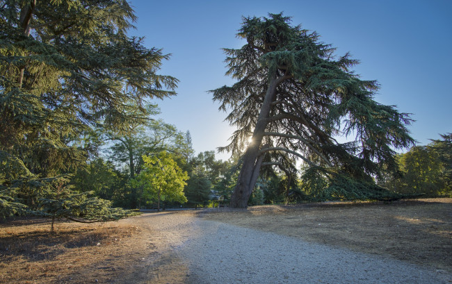 Обои картинки фото природа, дороги, тракт