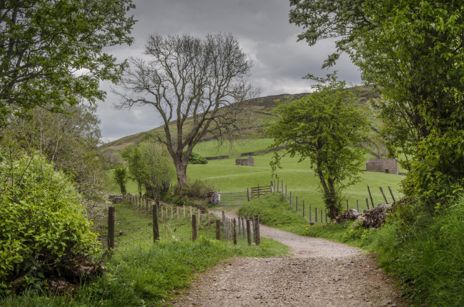 Обои картинки фото природа, дороги, тракт