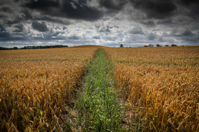 Обои картинки фото природа, дороги, тракт