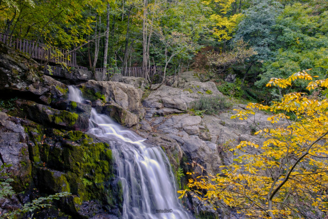 Обои картинки фото природа, водопады, река, водопад, лес