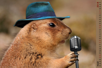 Картинка календари компьютерный+дизайн микрофон шляпа