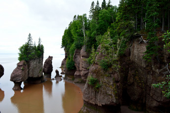 Картинка природа побережье простор