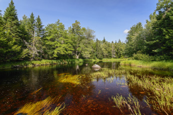 Картинка природа реки озера простор