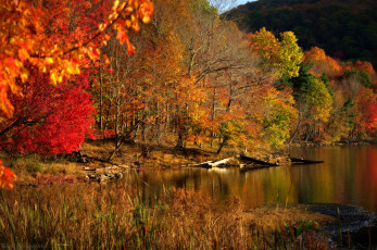 Картинка природа реки озера простор