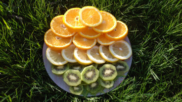 Картинка еда цитрусы кольца трава