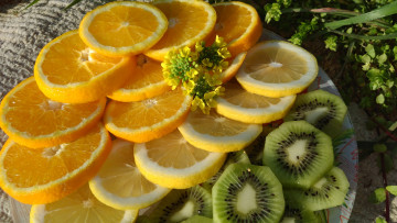 Картинка еда цитрусы трава кольца