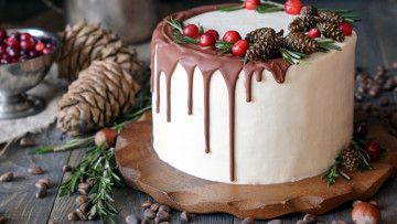 Картинка еда торты клюква торт шишки