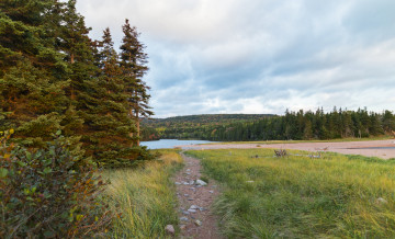 Картинка природа пейзажи простор