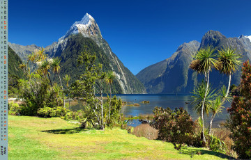 обоя календари, природа, деревья, скала, пальма, водоем