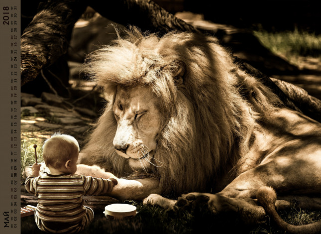 Обои картинки фото календари, компьютерный дизайн, ребенок, лев