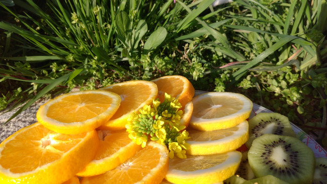 Обои картинки фото еда, цитрусы, кольца